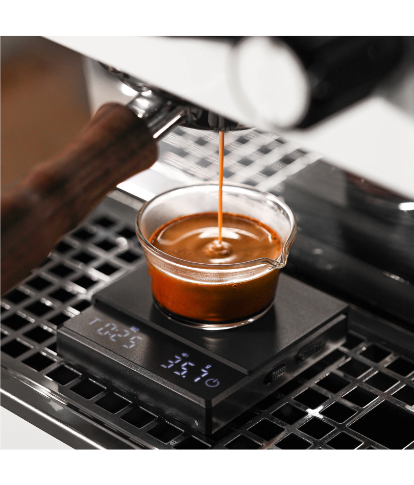 Kitchen Coffee Scale with Time - Digital Kitchen Scale review and price